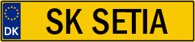 Truck License Plate